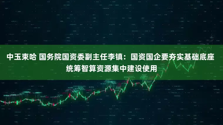 中玉束哈 国务院国资委副主任李镇：国资国企要夯实基础底座 统筹智算资源集中建设使用