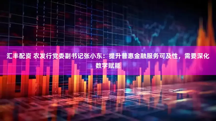 汇丰配资 农发行党委副书记张小东：提升普惠金融服务可及性，需要深化数字赋能