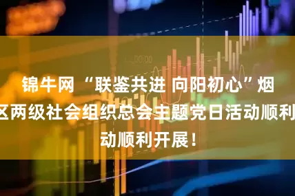 锦牛网 “联鉴共进 向阳初心”烟台市区两级社会组织总会主题党日活动顺利开展！
