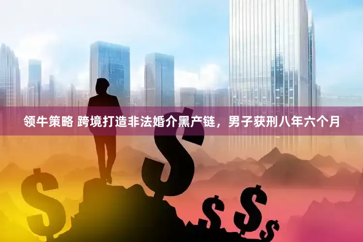 领牛策略 跨境打造非法婚介黑产链，男子获刑八年六个月