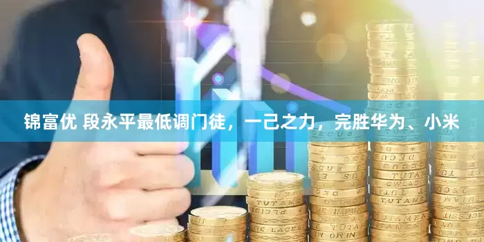锦富优 段永平最低调门徒，一己之力，完胜华为、小米