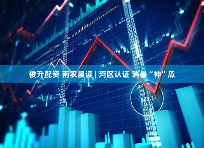 俊升配资 南农晨读 | 湾区认证 消暑“神”瓜