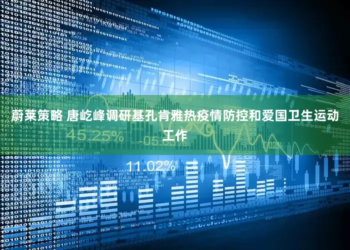 蔚莱策略 唐屹峰调研基孔肯雅热疫情防控和爱国卫生运动工作