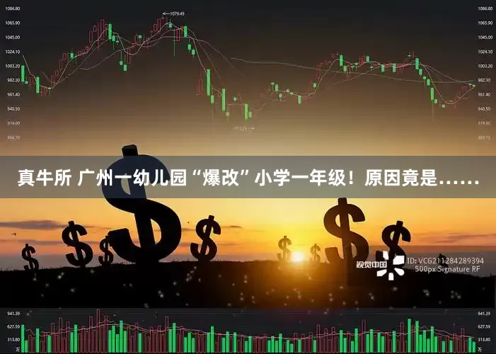 真牛所 广州一幼儿园“爆改”小学一年级！原因竟是……