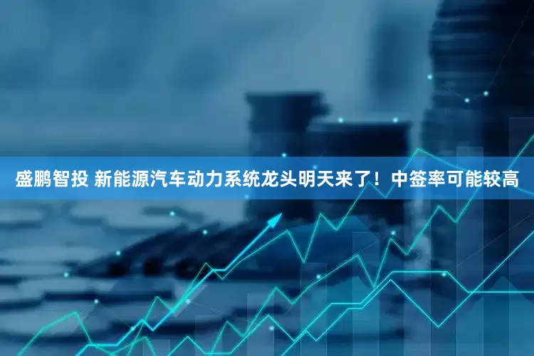 盛鹏智投 新能源汽车动力系统龙头明天来了！中签率可能较高