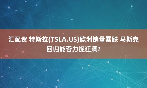 汇配资 特斯拉(TSLA.US)欧洲销量暴跌 马斯克回归能否力挽狂澜?