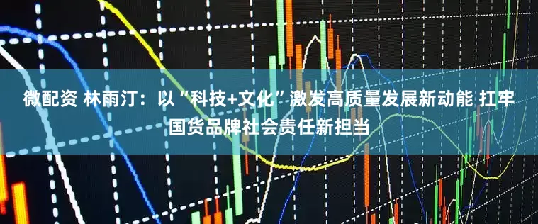 微配资 林雨汀：以“科技+文化”激发高质量发展新动能 扛牢国货品牌社会责任新担当