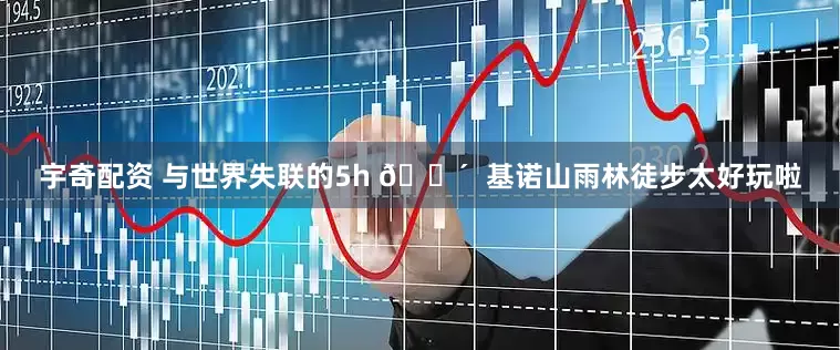 宇奇配资 与世界失联的5h 🌴  基诺山雨林徒步太好玩啦